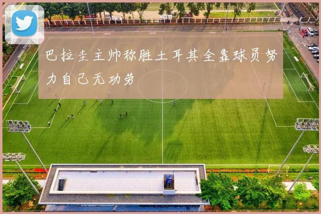 巴拉圭主帅称胜土耳其全靠球员努力自己无功劳